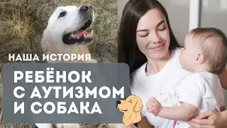 SHOULD I GET A DOG? GOLDEN RETRIEVER #autism