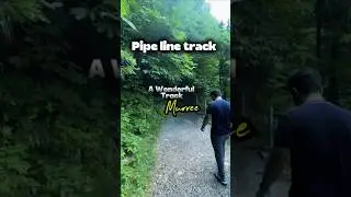 Dunga Gali to Ayubia &ndash; Pakistan&rsquo;s Easiest & Most Scenic Trail! 🌲🇵🇰 #travelpakistan  #minivlog