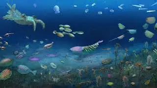 Cambrian Recovery: New Fossil Site Reveals Life's Resilience After Mass Extinction