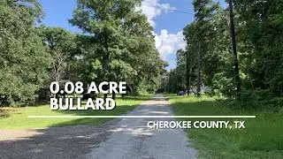 0.08 Acre Wooded RV/Mobile Lot with Water and Electric by Lake Palestine! (Land for Sale in Texas)