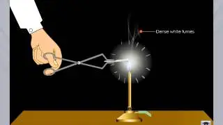 Burning Magnesium Ribbon