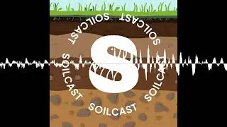 SC071 SoilTalk: When the Rain begins to fall - Soilcast