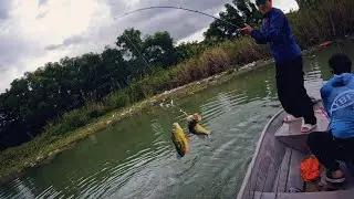 Kuala Lumpur Urban Peacock Bass Fishing (December 2025)