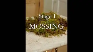 Wreath making with Quince - STAGE 1 - MOSSING  #floristry #creativeworkshops  #wreathmaking