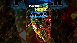 &ldquo;5 Animals With INSANE Superpowers ⚡ You Never Knew Existed!&rdquo; #animals #powers #facts