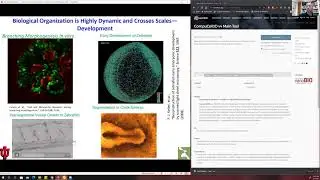 CC3D Workshop Module 1.1: Introduction to Virtual Tissue Modeling in CompuCell3D August 2nd 2021