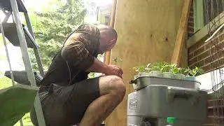 060720 -- garden of wizdum, beer review tiramisu stout, cantalope/cucumber transplant vlog part 1