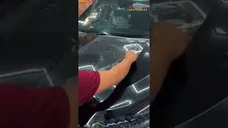 Your car deserves more.#balajicaraccessories  #tataharrier #ppffilm #ppfinstallation #protectyourcar