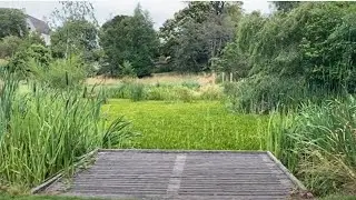 Inveresk Lodge Garden