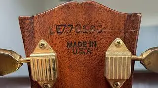 Can This Story Be True? | Trogly Guitar Hunting