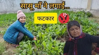 सासू माँ ने लगाई फटकार 🫩#minivlog #villagelife #villagevideo #desilifestyle 