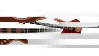 Schecter Guitar Research Stiletto Studio-8 Bass Honey Satin