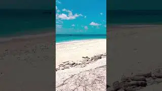 Maldives Escape: Where Dreams Meet Reality 🏝️🩵🩵