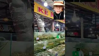 Вьетнам, Муйне #боке #boke #BờK&egrave; #MũiN&eacute; #Muine #Vietnam #seafood #морепродукты #вьетнамскаяеда #food