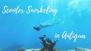 Scooter Snorkeling in Antigua at English Harbour (Sea Turtles, Eagle Rays, & More!!!)