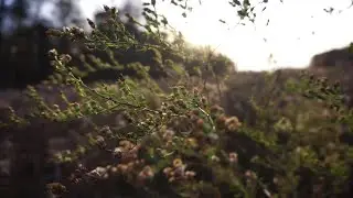 auddhatya - harvest (Official Music Video)