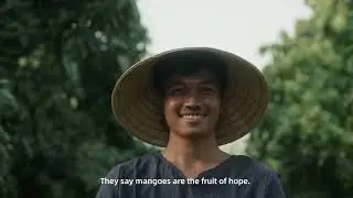 Dried mango - Cambodia Gome Farm Food