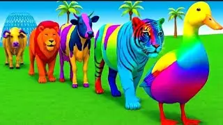 Long Slide Game With Cow Elephant Gorilla Hippopotamus Tiger 3d Animal Game Funny 3d Animals