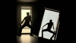 Michael Jackson - In The Closet [Silhouette Splitscreen]