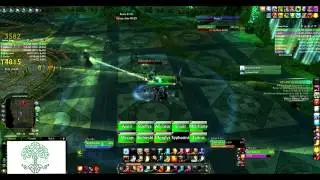 Yggdrasil vs general Typhiria