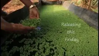NABARD's Role in Development of Producers' Organisation - Trailer