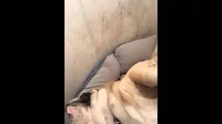 How to Keep Your Dog Warm in the Winter