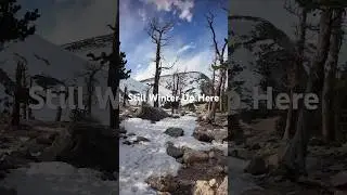 Mountains Don&rsquo;t Care What Season It Is. #springhike #natureaesthetic #mountainview #outdoorlife #fy