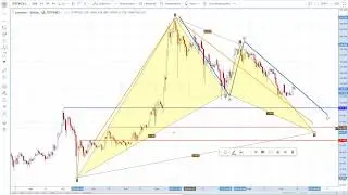 Дед Мороз и LTC/USD (PolarSolar)