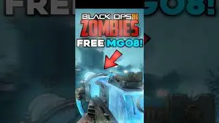 BO3 Zombies Origins FREE PAP 