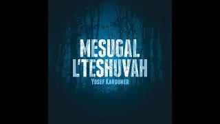 Yosef Karduner - Heichan Ani BaOlam