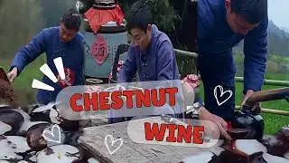 The ABSOLUTE BEST Way to Make CHESTNUT WINE at Home