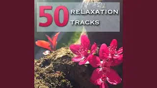 Relax 2015 (Spa Breaks)