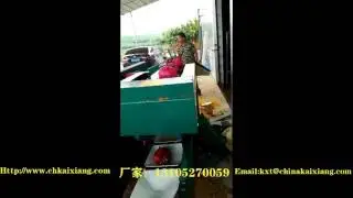 dragon fruit weight grading machine/fruit sorting machine