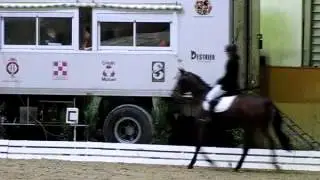 Laura GROSSI, Dressage Club 2 &agrave; l Etrier de lorraine le 2 d&eacute;cembre 2012