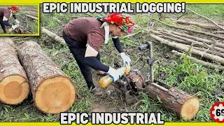 Insane Winch Logging &mdash; Powerful Timber Hauling in Action!