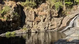 Love Creek - Cedar Creek Circuit, D'aguilar National Park