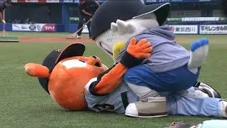 【プロ野球パ】ジャビットとズーちゃんも試合に備え準備運動  2015/06/12 M-G