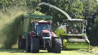 Claas Jaguar 950 chopping grass in big hilly field | Grass Season 2020 | Danish Agriculture