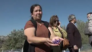Başkan Özyiğit, “Türkiye’nin en çok safran üreten ilçelerinden biri olabiliriz   [2024.11.09]