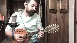 Mandolin + Fingerpicks