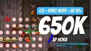 Elder druida do zero, EP 19 | Giant Spider Port hope, hunt e besti&aacute;rio