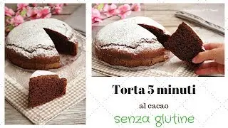 Torta 5 minuti al cacao - Ricetta senza glutine
