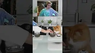 Poki| Best Twitch Moments