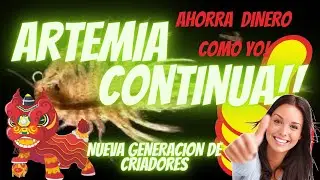 ARTEMIA GRATIS con este METODO  eclosión y reproduccion de artemia SALINA TIP final del video
