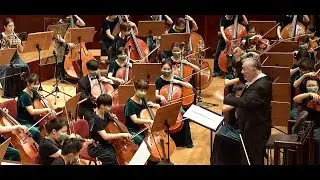 Johannes Brahms  Symphony No. 1  op. 68   Evergreen Symphony Orchestra / Gernot Schmalfuss