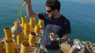 Pirotecnia Igual Abu Dhabi Fireworks prep nov 28   30