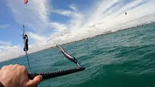 2025 NOV WALLAROO KITE