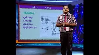 A/L Biology (உயிரியல்) தரம் 13 - P 18