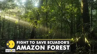 Indigenous communities in Ecuador sue government, fight to save Amazon forest | WION Climate