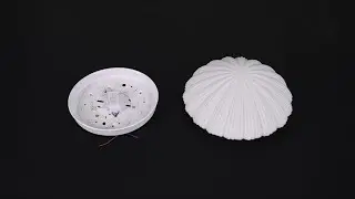 Devan Seashell Ceiling Lamp Installation Video &ndash; Organic Silhouette, Soft Ambient Glow